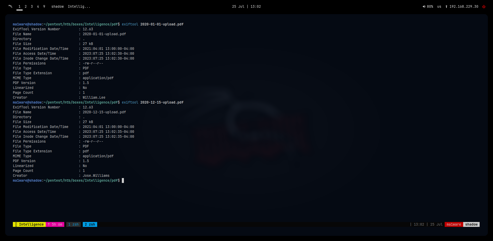 Exiftool output